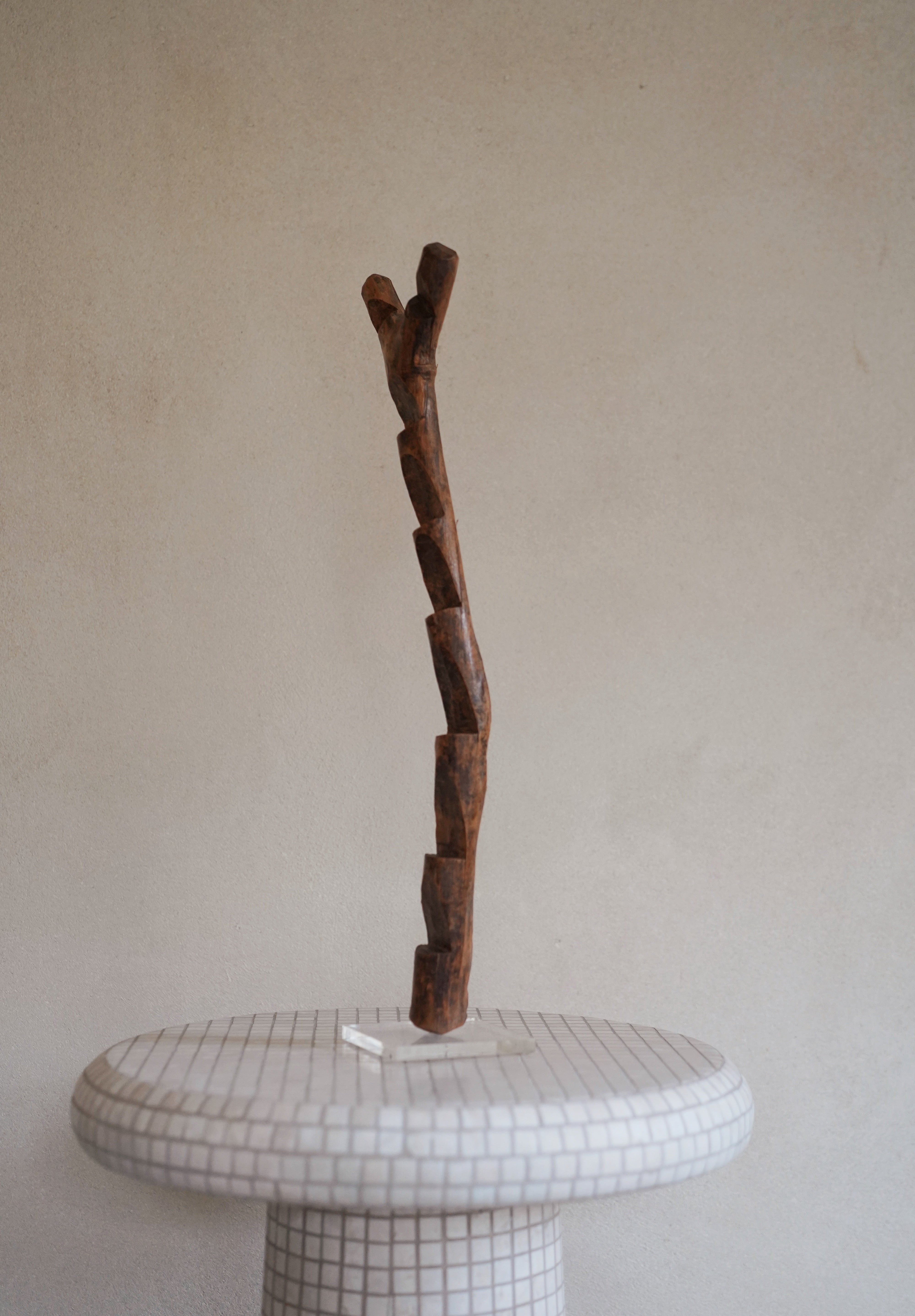 Mini Dogon Ladder 05